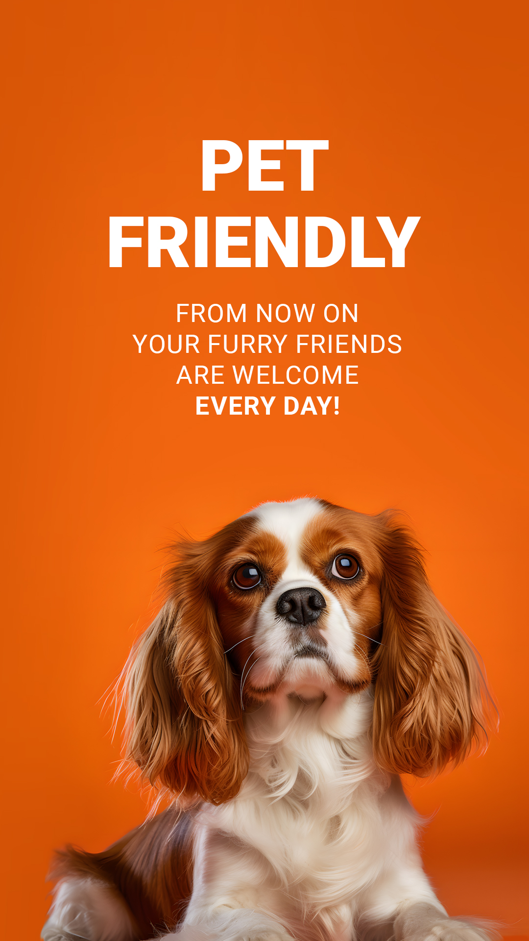 Pet Friendly Mall East Gate Mall